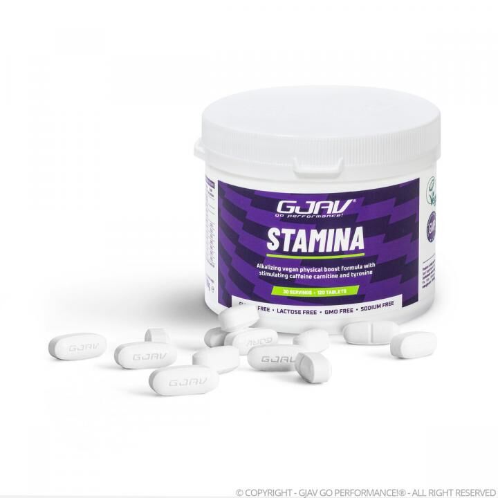 Gjav Stamina 120 Cpr - immagine 2